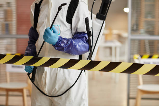 Professional Sewage Cleanup technician working in Carter Lake, IA